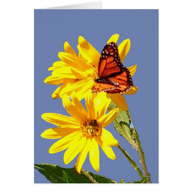 Fjärilsleende Hälsningskort (Framsidan)