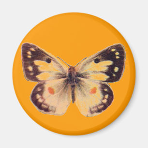 Fjärilsmagnet Magnet