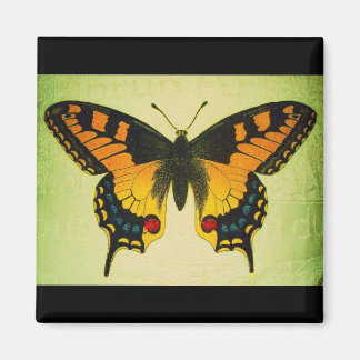 fjärilsmagnet magnet