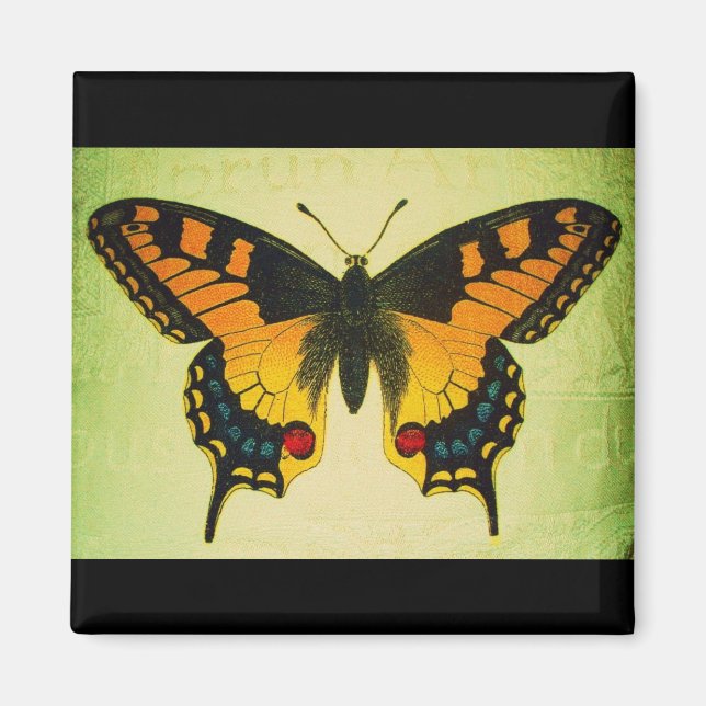 fjärilsmagnet magnet (Framsidan)