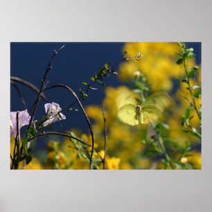 Fjärilsögonblicksaffisch -36x24 - mindre poster