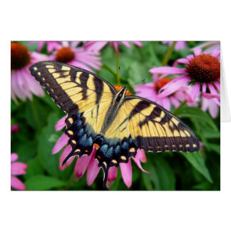 Fjärilstiger Swallowtail Hälsningskort