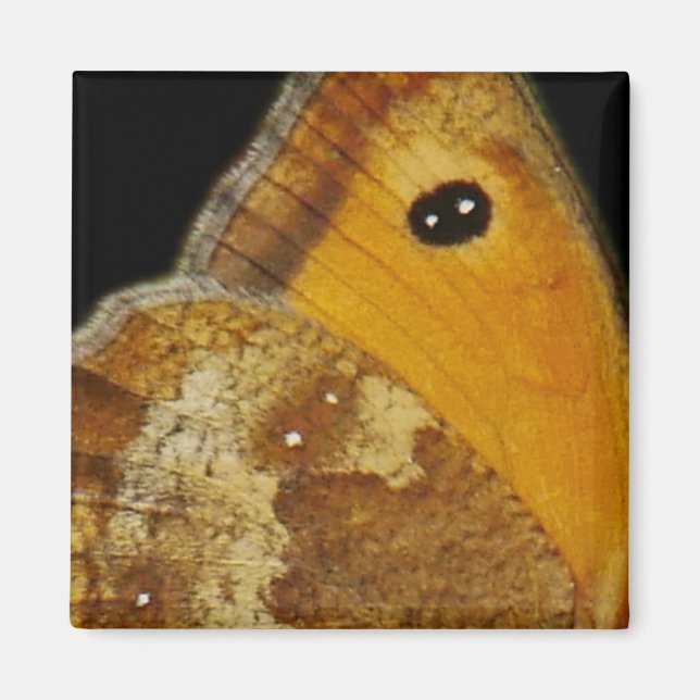 Fjärilsvinge Magnet (Framsidan)