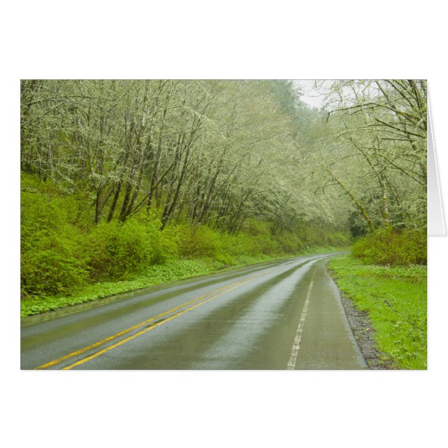 Fjärran motorvägen genom skogen hälsningskort (Framsidan Horizontal)