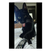 fjärrstyrd kyckling