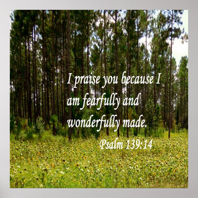 Fjärt och underfullt gjord poster (Framsidan)