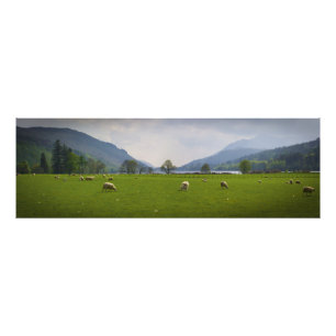 FjordOich får Fototryck