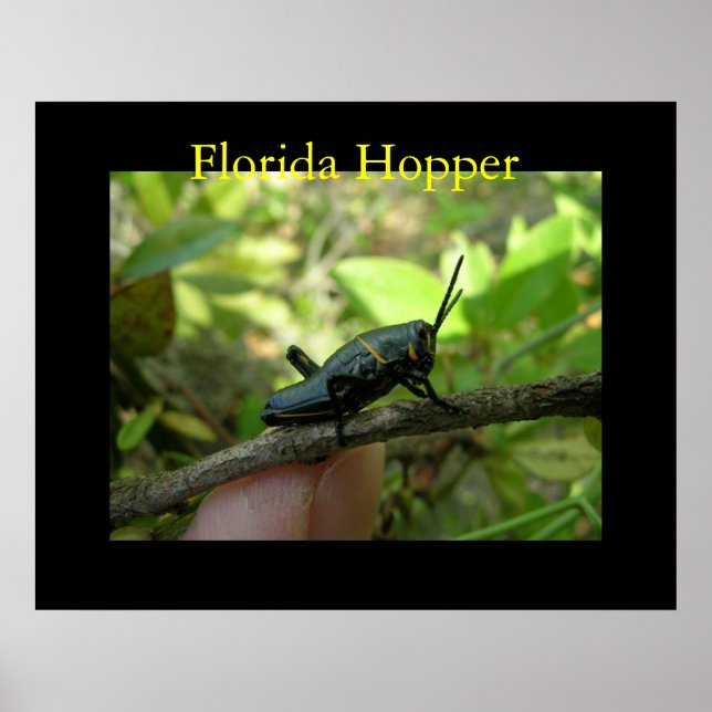 FL Hopper Poster (Framsidan)