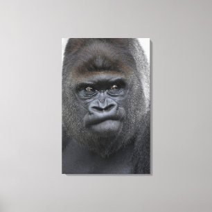 Flachland gorilla canvastryck