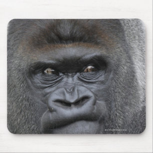 Flachland gorilla musmatta