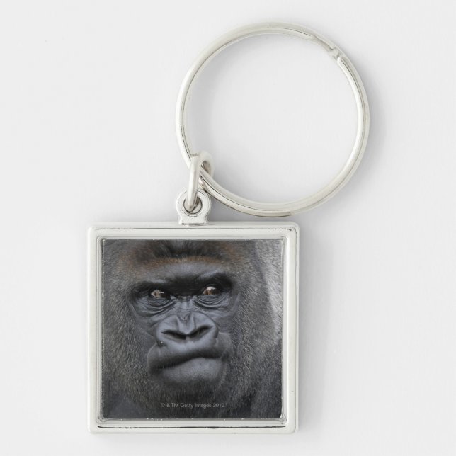 Flachlandgorilla gorilla fyrkantig silverfärgad nyckelring (Framsidan)