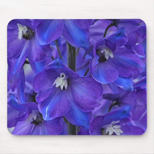 Fläckblå delphinium musmatta (Framsidan)