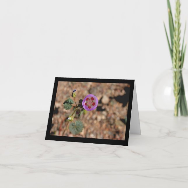 Fläcken för öken fem noterar kortet kort (Framsida)