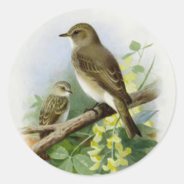 Fläckfångare, konstillustration runt klistermärke