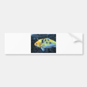 Fläckfisk Bildekal