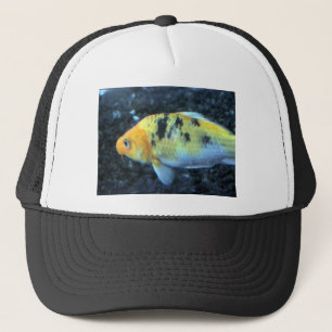 Fläckfisk Keps