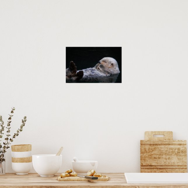 Fläckfiskfotografi över havet vid mynning poster (Kök)