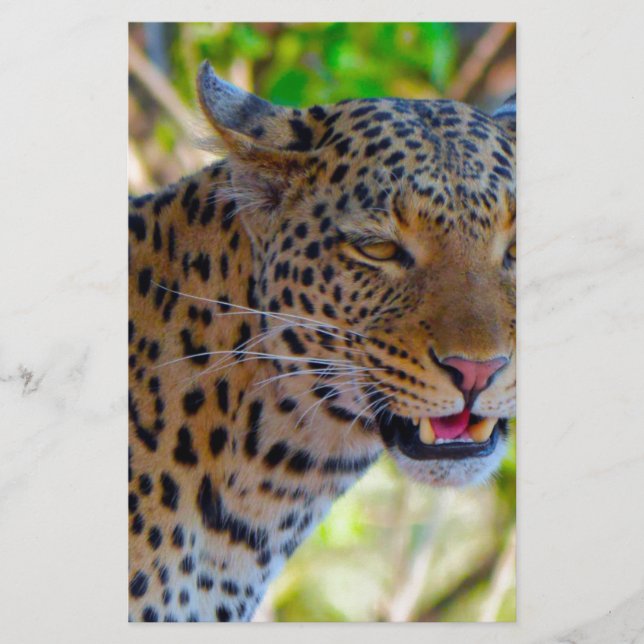 Fläckig leopard brevpapper (Framsida)