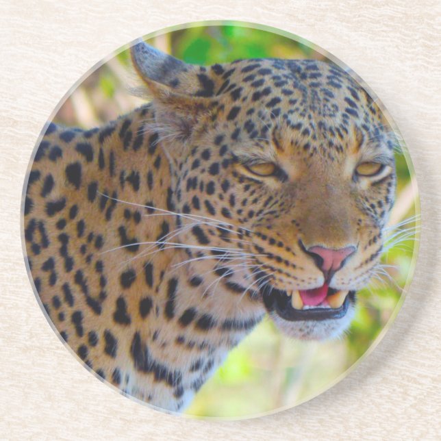 Fläckig leopard underlägg (Framsidan)