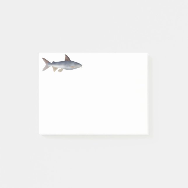 Fläckig malfisk post-it block (Framsida)