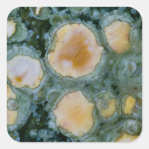 Fläckig Ocean Jasper Fyrkantigt Klistermärke