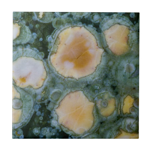 Fläckig Ocean Jasper Kakelplatta (Framsidan)