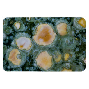 Fläckig Ocean Jasper Magnet