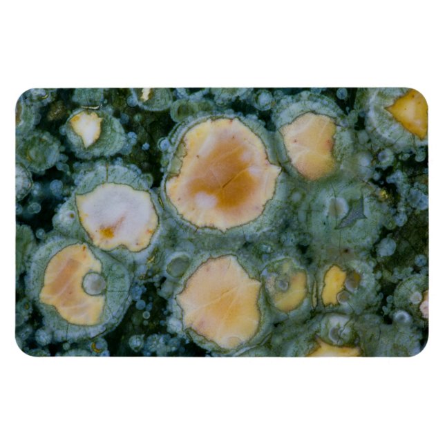 Fläckig Ocean Jasper Magnet (Horisontell)
