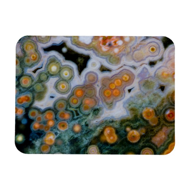 Fläckig Ocean Jasper Magnet (Horisontell)