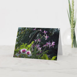 Fläckiga Orchids för sol Kort