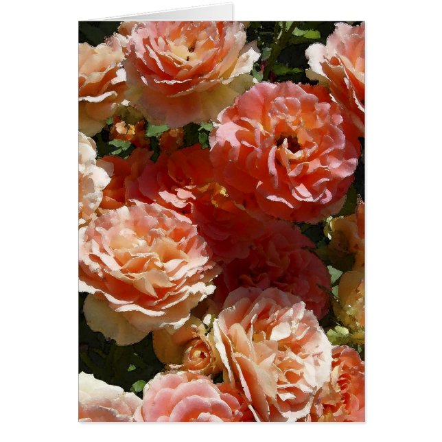 Fläckiga ro för sol hälsningskort (Framsidan)