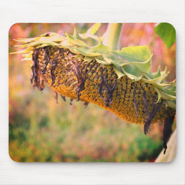 Flädd solrosblomma musmatta (Framsidan)