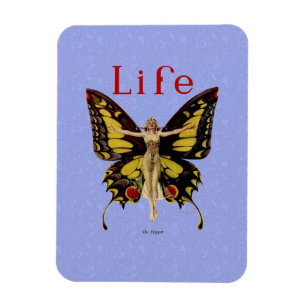 Fladderfjäril Flygande Kvinna Illustration Magnet