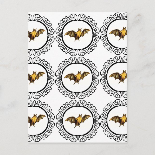 Fladdermöss cirklar vykort (Framsida)