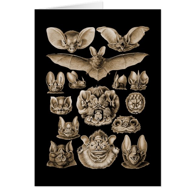 Fladdermöss Hälsningskort (Framsidan)