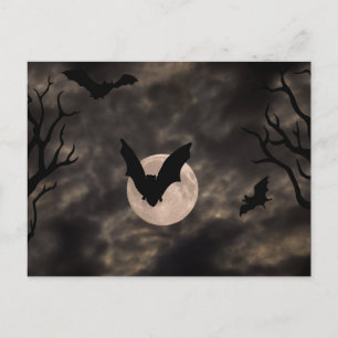 Fladdermöss kuslig natt Halloween Vykort