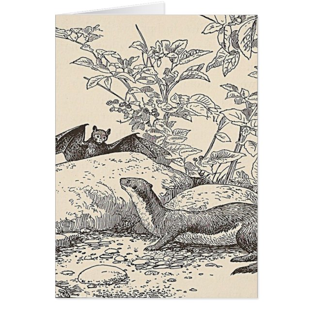 Fladdermöss och minken hälsningskort (Framsidan)