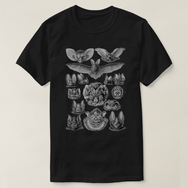 Fladdermöss Scientific Illustration Teckning Biolo T Shirt (Design framsida)