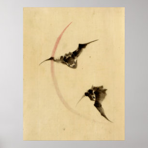 Fladdermöss som flyger 1840 poster