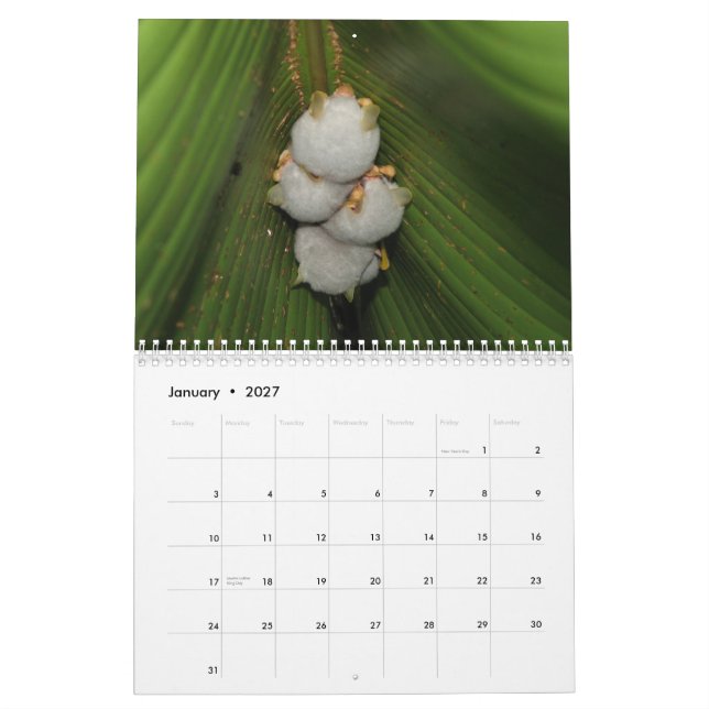 Fladdermösskalender Kalender (Jan 2027)