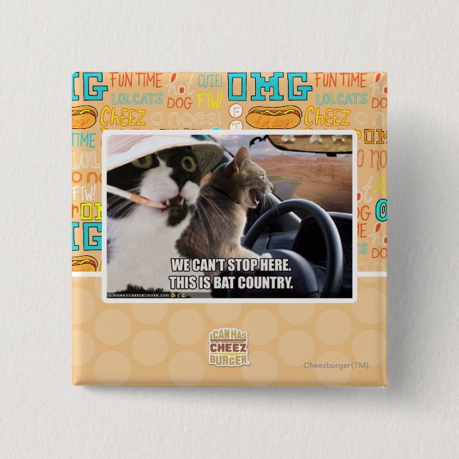 Fladdermössland Knapp (Framsida)