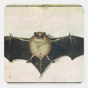 Fladdermus, 1522 fyrkantigt klistermärke