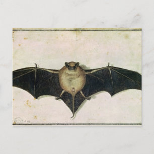 Fladdermus, 1522 vykort