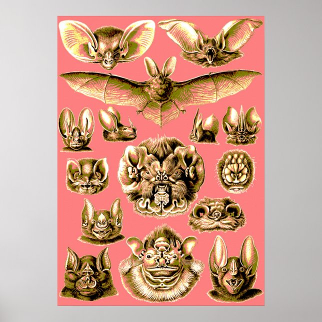 Fladdermus Ansikte Poster (Framsidan)