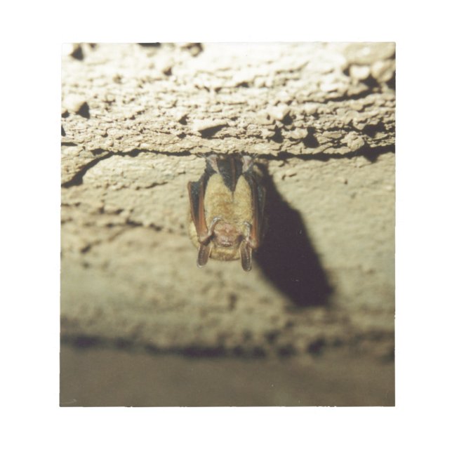 Fladdermus Anteckningsblock (Framsida)