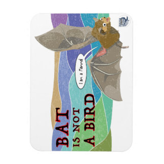 Fladdermus är ingen fågel magnet