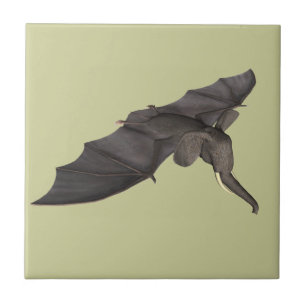 Fladdermus Elephant Hybrid Kakelplatta