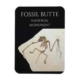 Fladdermus Fossil, nationalmonumentet Fossil Butte Magnet