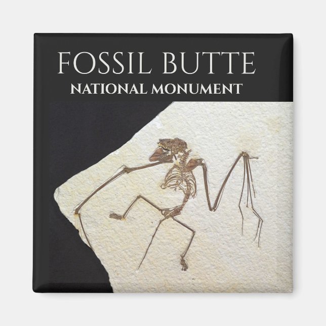 Fladdermus Fossil, nationalmonumentet Fossil Butte Magnet (Framsidan)