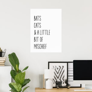 Fladdermus-katter och lite elände poster
